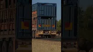 Thumbnail: Feral Camels VS Roadtrain
