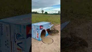 Thumbnail: Beautiful Technique Bird Trap - Easy Quail Bird Trap # #bushcraft #campping #outdoorsman #survival
