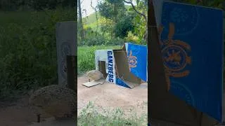 Thumbnail: Amazing Unique Bird Trap Using Cardboard Box # #bushcraft #campping #survival