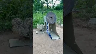 Thumbnail: Amazing Unique Quick Quail Bird Trap # #bushcraft #birds #campping #survival