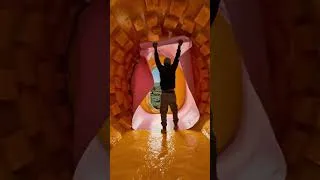 Thumbnail: Turning a Giant Mango Into a Cozy Epoxy Living Room