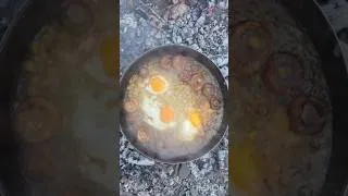 Thumbnail: WriteI Cooked a Delicious Meal with Mushrooms I Foraged in the Forest! 🍄🍳