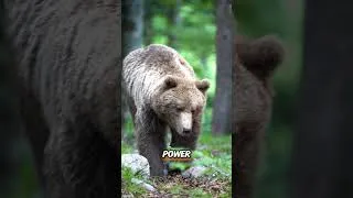 Thumbnail: Outrun a Bear? Nope. #bearsafety #lifehack #survivalskills