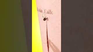 Thumbnail: How Ants Became Nature’s Band-Aids!