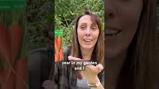 Thumbnail: Carrot Variety for Florida