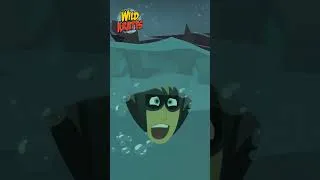 Thumbnail: Kratt Brothers Drink Like Bats | Wild Kratts