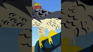 Thumbnail: Activate Peregrine Falcon Powers | Wild Kratts