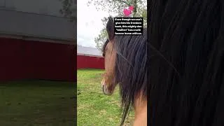 Thumbnail: Meet Yuma