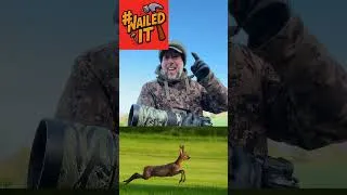 Thumbnail: An amazing encounter this morning of my favourite UK mammals the roe deer. Like it?
