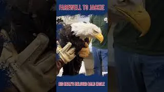 Thumbnail: Farewell to Jackie: Big Bear’s Beloved Bald Eagle #BaldEagle #Wildlife