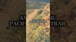 Thumbnail: Hiking through Anza on the Pacific Crest Trail. #pct