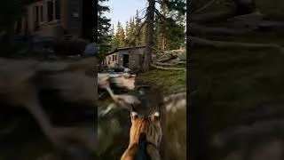 Thumbnail: I Put a Camera on a Lynx… It Led Me to a Hidden Den #shorts
