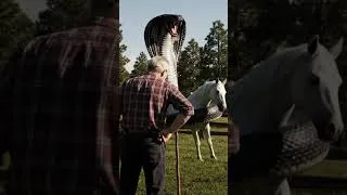 Thumbnail: Brave Officers Rescue Horse from Deadly Cobra Attack #animalrescue #wildliferescue #horserescue