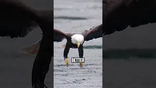Thumbnail: 5 Wild Animal Facts That Sound Fake But Are 100% Real 🤯 #animals #wildanimals #wildlife #eagles