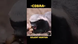 Thumbnail: Cobra’s Silent Strike Will Shock You 🐍⚡ #shorts