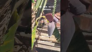Thumbnail: We have amazing birds at our homestead.1 million views prediction for this short. 05-05-2026