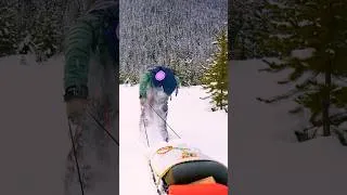 Thumbnail: DEEP SNOW Wood Stove Pizza Cold Winter Hot Tent Camping with my Dog
