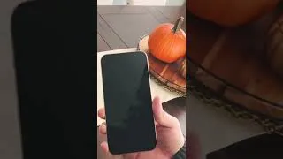 Thumbnail: Golden iPhone 13 Pro Max unboxing 📱🏆