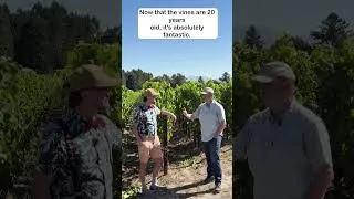 Thumbnail: Why Sonoma's DuMOL Plants Pinot Noir like Burgundy
