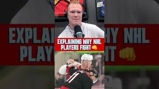 Thumbnail: Explaining Why NHL Players FIGHT 👀