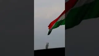 Thumbnail: Happy Independence Day!