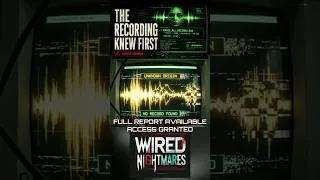Thumbnail: THE RECORDING KNEW FIRST | FULL INCIDENT REPORT AVAILABLE ACCESS GRANTED #AnalogHorror #SystemAudit