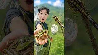 Thumbnail: Yejun Hunt Insects for Kids #shorts