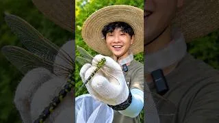 Thumbnail: Yejun's Insects for Kids Outdoor Playground Activity