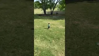 Thumbnail: the joy of spring. the joy of homeschooling. the joy of our everyday. 🤍