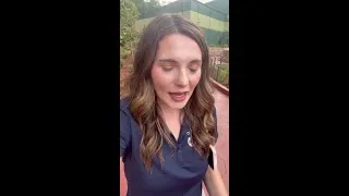 Thumbnail: Dollywood's NightFlight Expedition ride opens to public soon