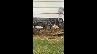 Thumbnail: House caves in from flooding in Peoria