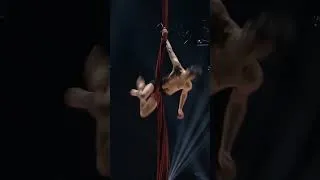 Thumbnail: This Aerial Silks Performance Will Leave You Speechless! 🎪😱