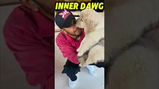 Thumbnail: Lewis Hamilton’s New Puppy Could Signal A MASSIVE Ferrari Comeback! 🐶❤️‍🩹🏆