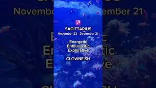Thumbnail: Your WOW animal based on your zodiac sign – part 2 ✨ What do you think?