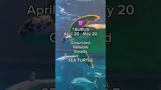 Thumbnail: Your WOW animal based on your zodiac sign ✨ What do you think?