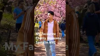 Thumbnail: Cool Spots to Check Out Cherry Blossoms in NYC