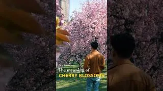 Thumbnail: How Cherry Blossoms Became a Symbol of NYC #asianamericanhistory #spring #sakura #hanami