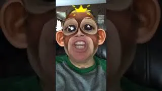 Thumbnail: reverse