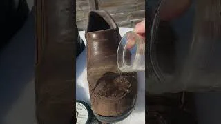 Thumbnail: Bush Butter