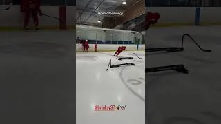 Thumbnail: Detroit Red Wings, Alex Debrincat and Dylan Larkin Training Together EVEN post trade request 👀