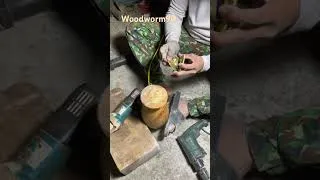 Thumbnail: How I craft wooden vases—something millions of people have yet to discover
