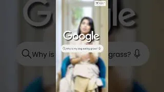 Thumbnail: Why is my eating grass?? #puppy #pets #dog #dogs #dogshorts