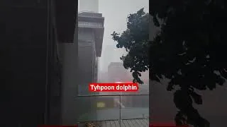 Thumbnail: Typhoon dolphin taiwan on the outskirts