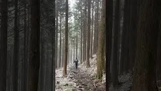 Thumbnail: Japan's Kumano Kodo with World Expeditions