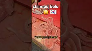 Thumbnail: Would you try skinned Eels in South Korea? 🇰🇷