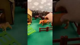 Thumbnail: PIGS ARRIVING AT THE FARM / PORCOS CHEGANDO NA FAZENDA