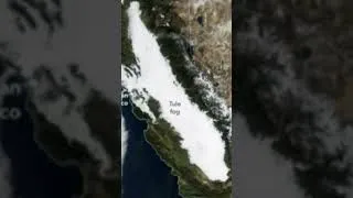 Thumbnail: Radiation Fog Over California! #headlines #california #radiation