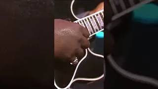 Thumbnail: B.B. King Blues Band - Live at North Sea Jazz Festival (10/07/1987) • World of Jazz