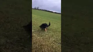 Thumbnail: She wound me up splashing me in the mud