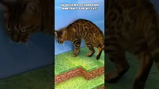 Thumbnail: Real Life Minecraft for My Cat! 😱🧱